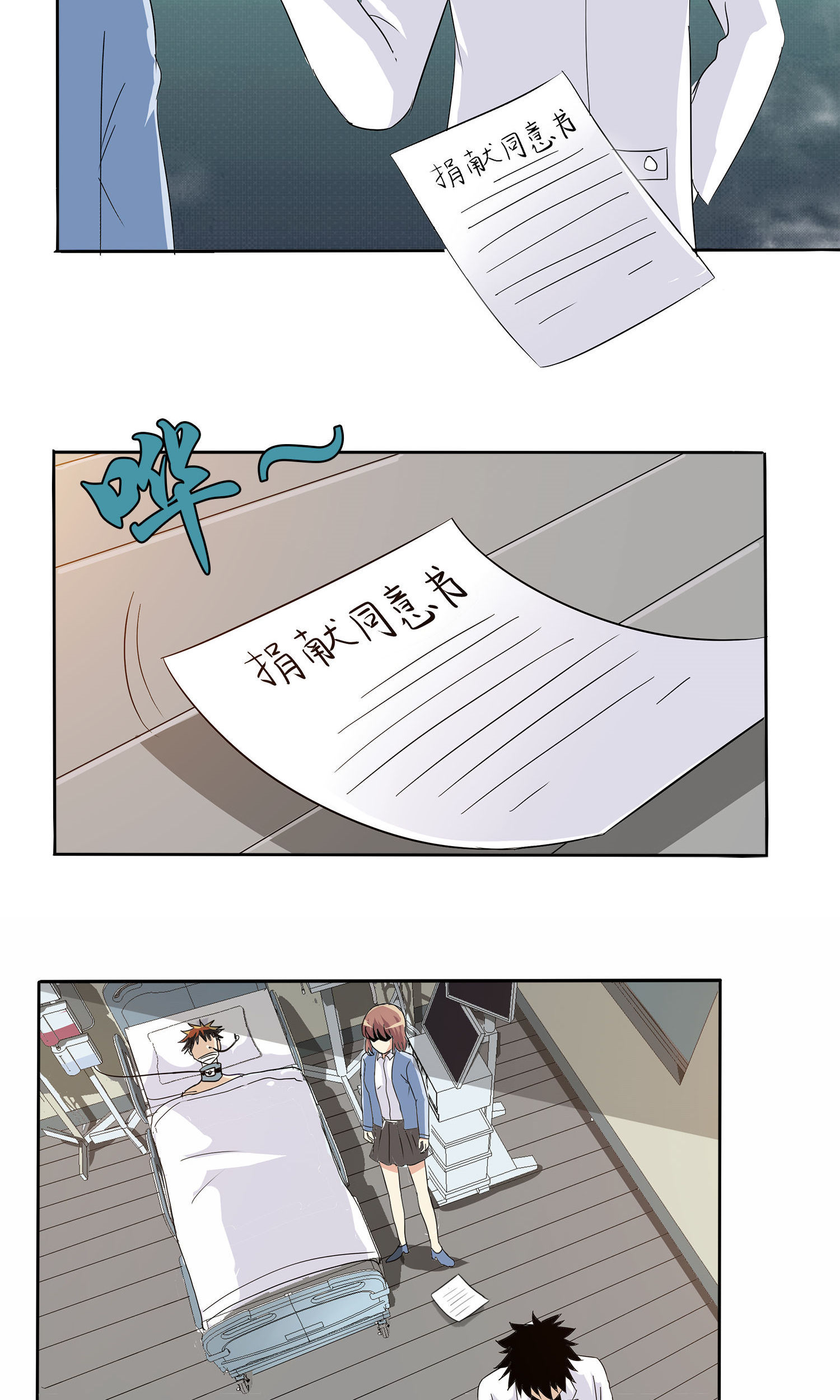 15.jpg
