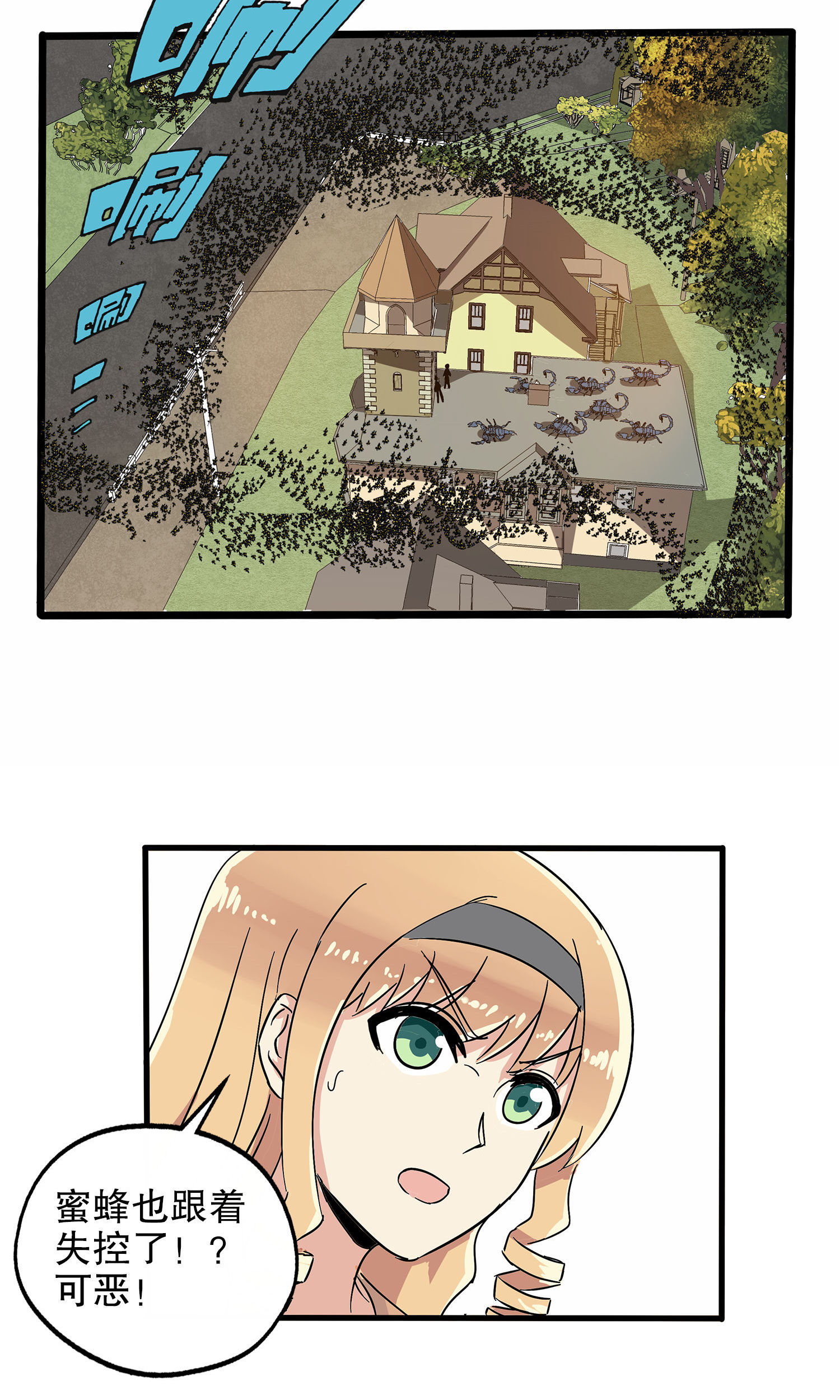 13.jpg