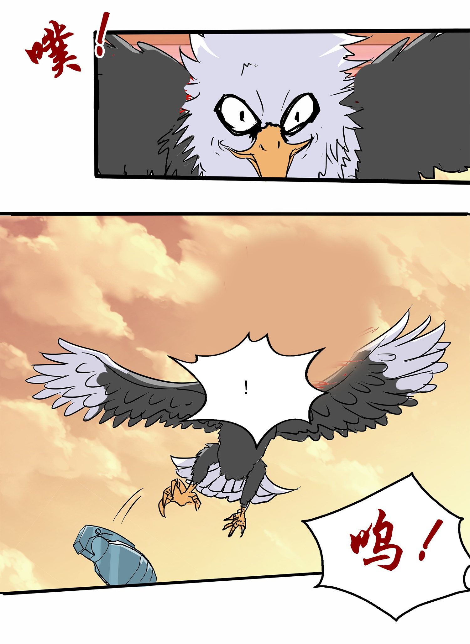 16