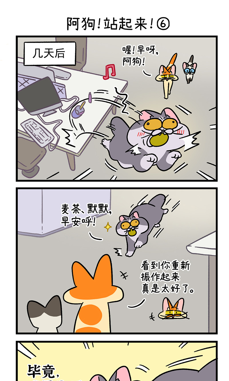 5.jpg