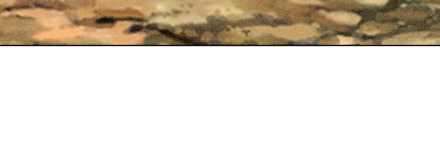 78.jpg