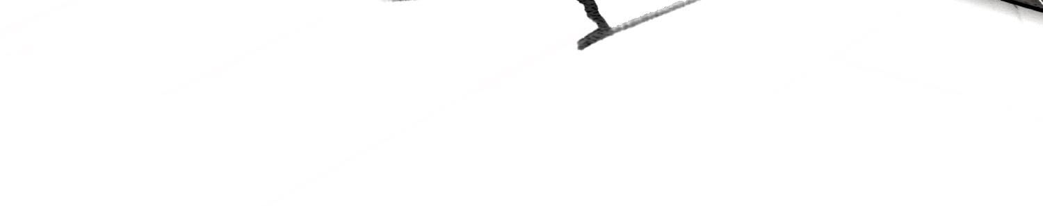 73.jpg