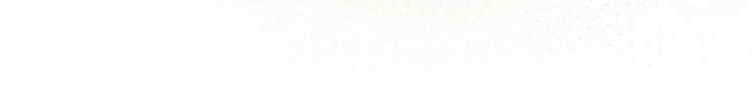95.jpg