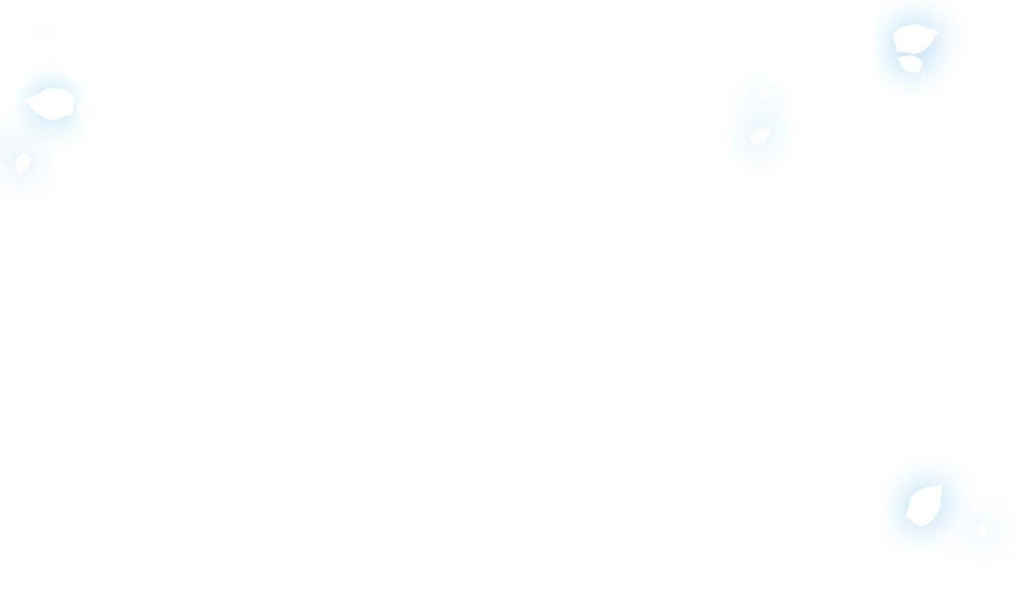 161.jpg