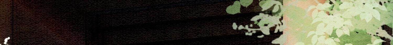 82.jpg