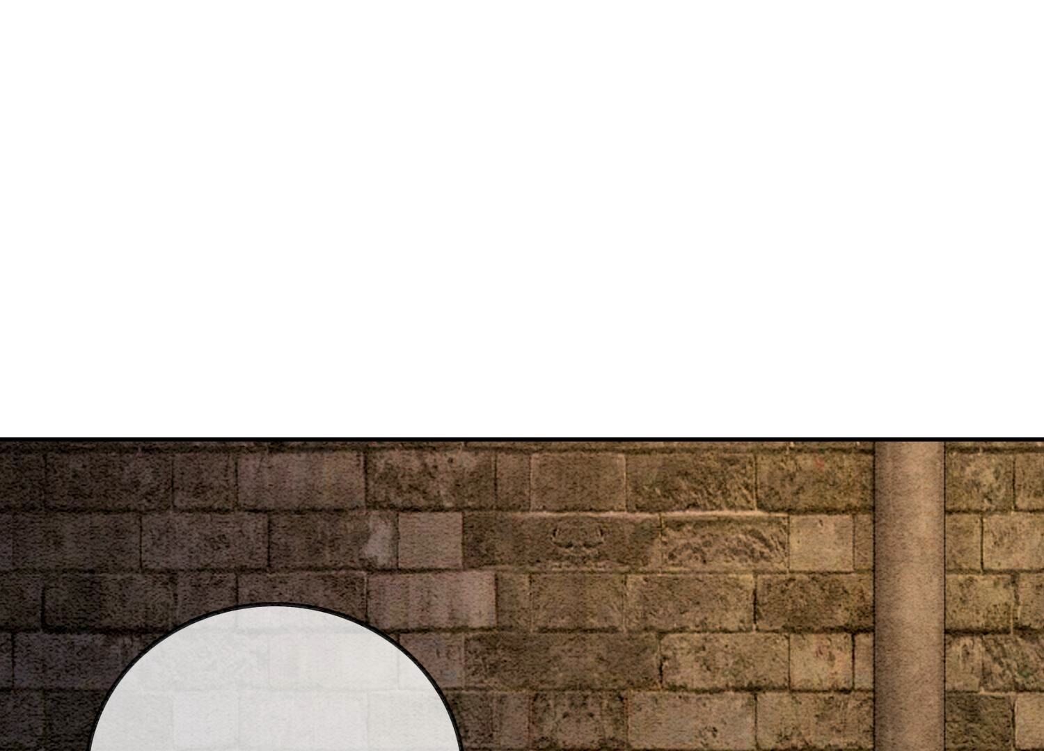 96.jpg