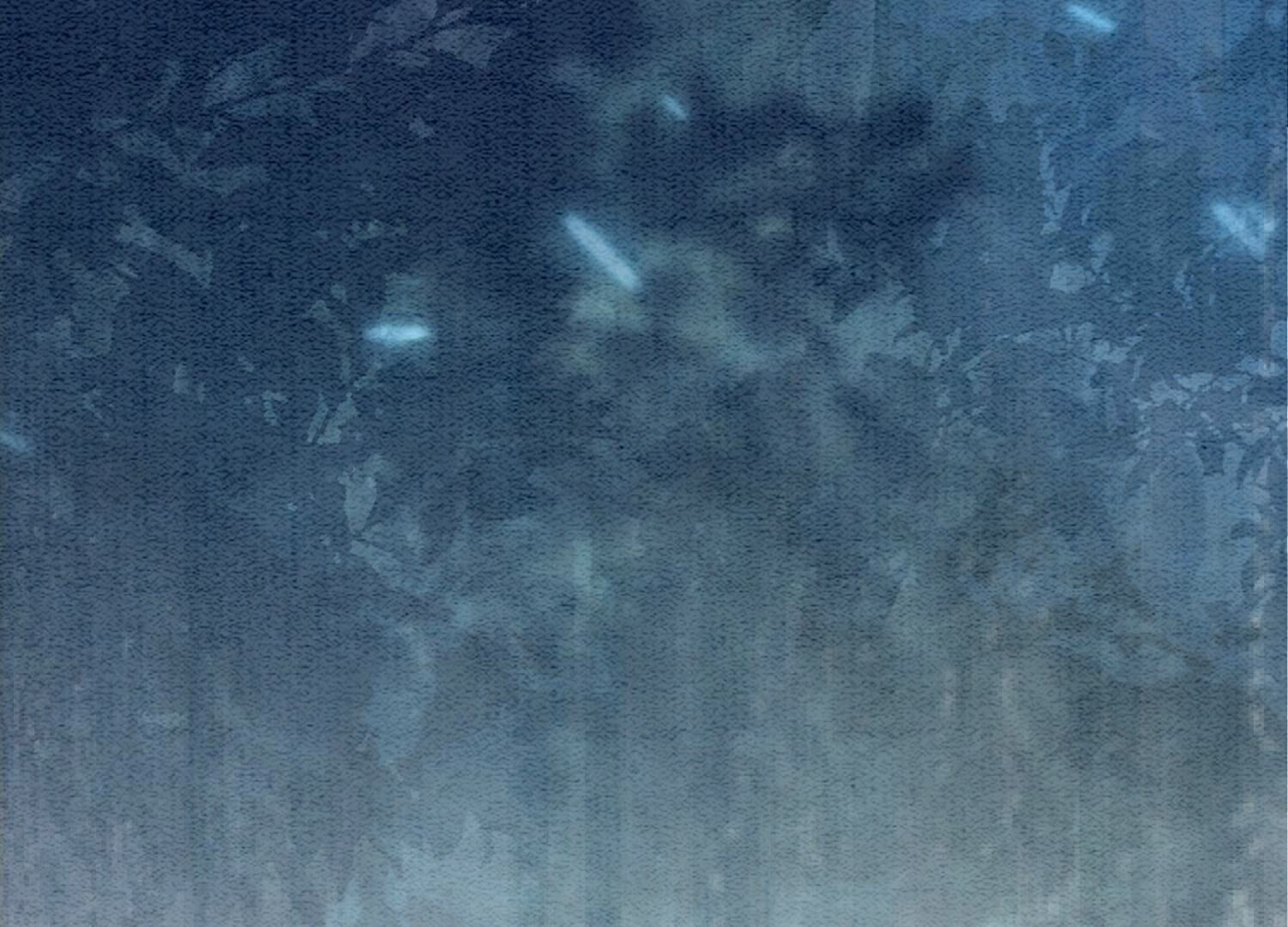 117.jpg