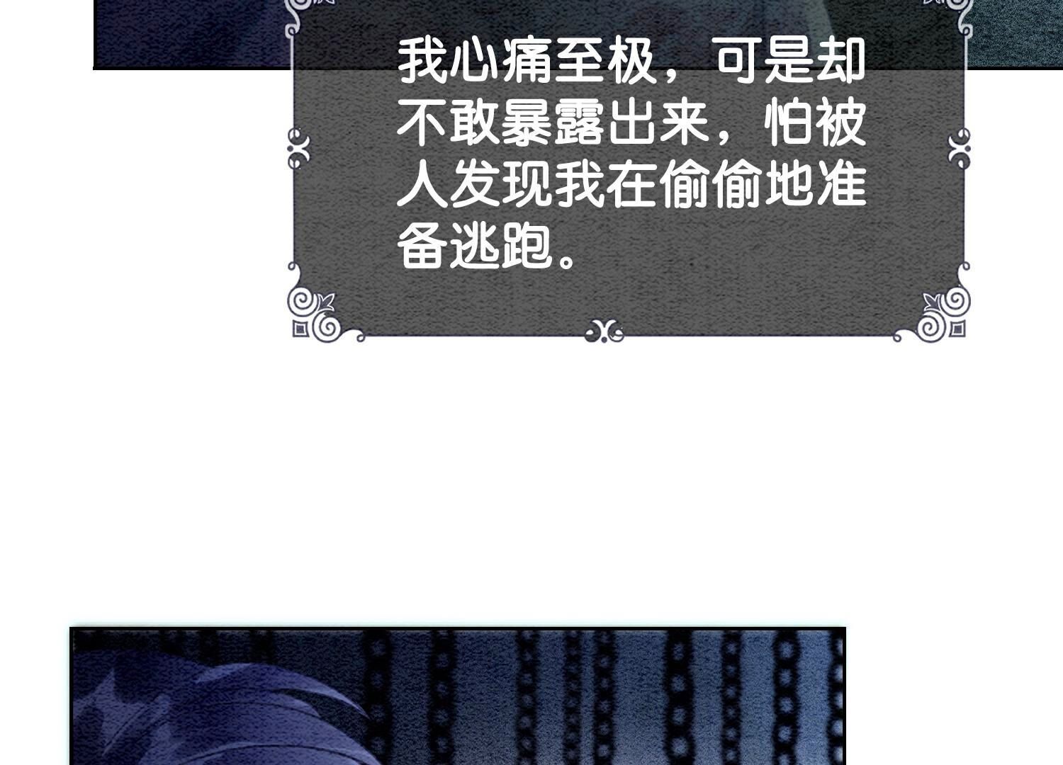 85.jpg