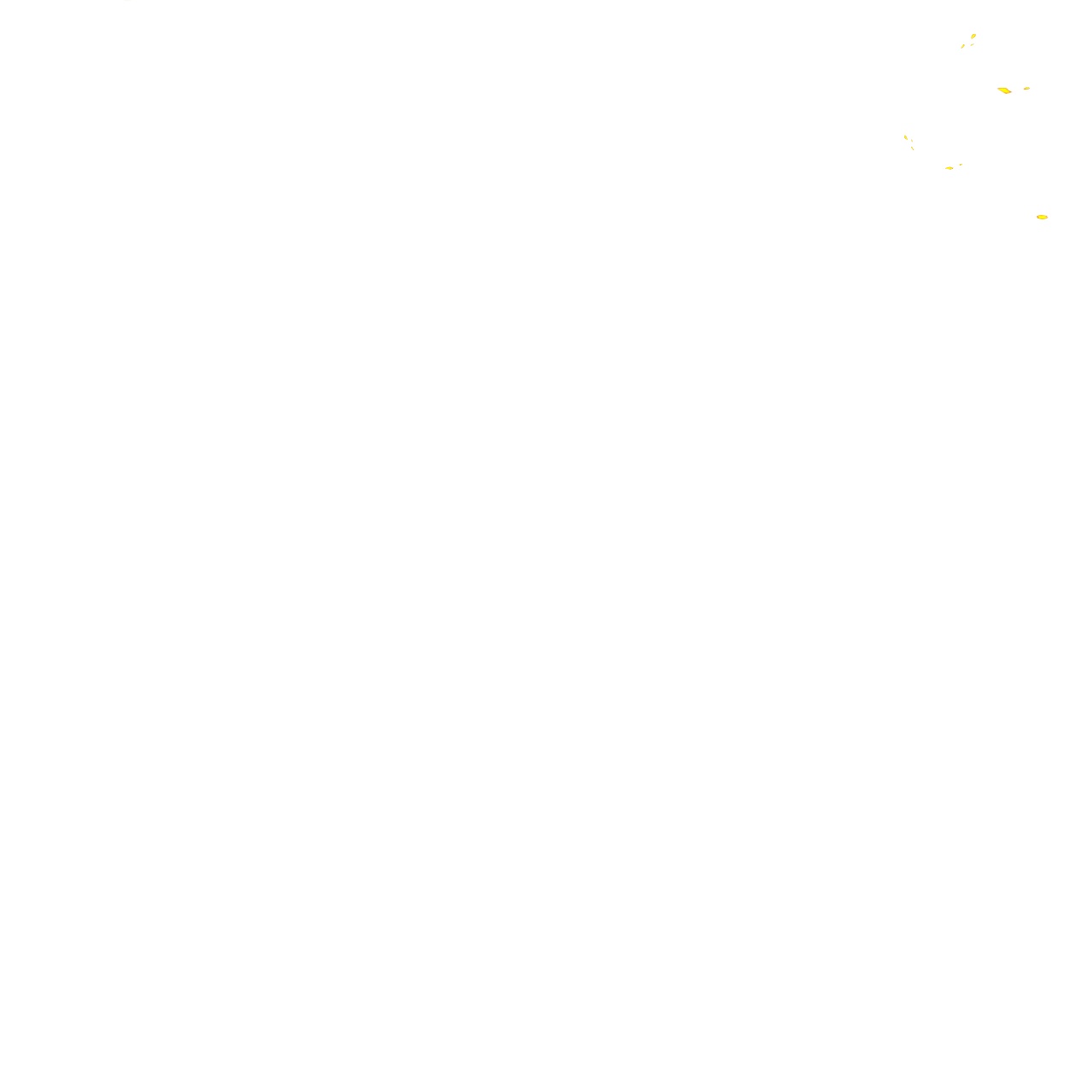 65.jpg
