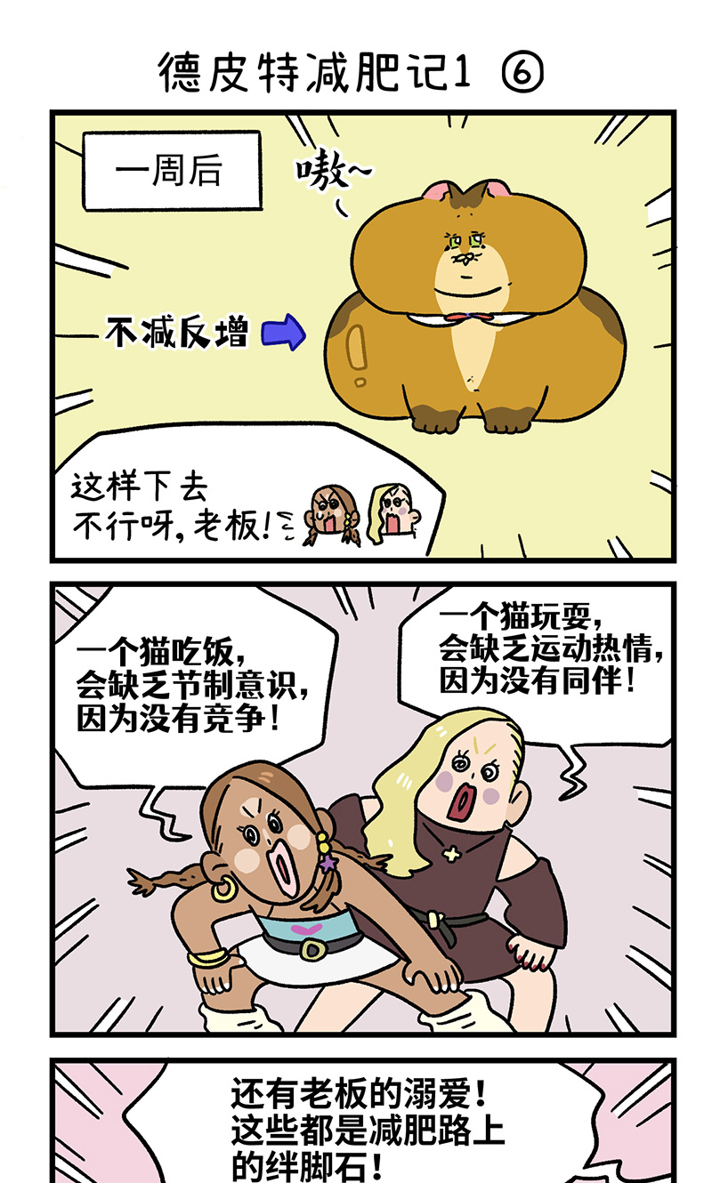 5.jpg
