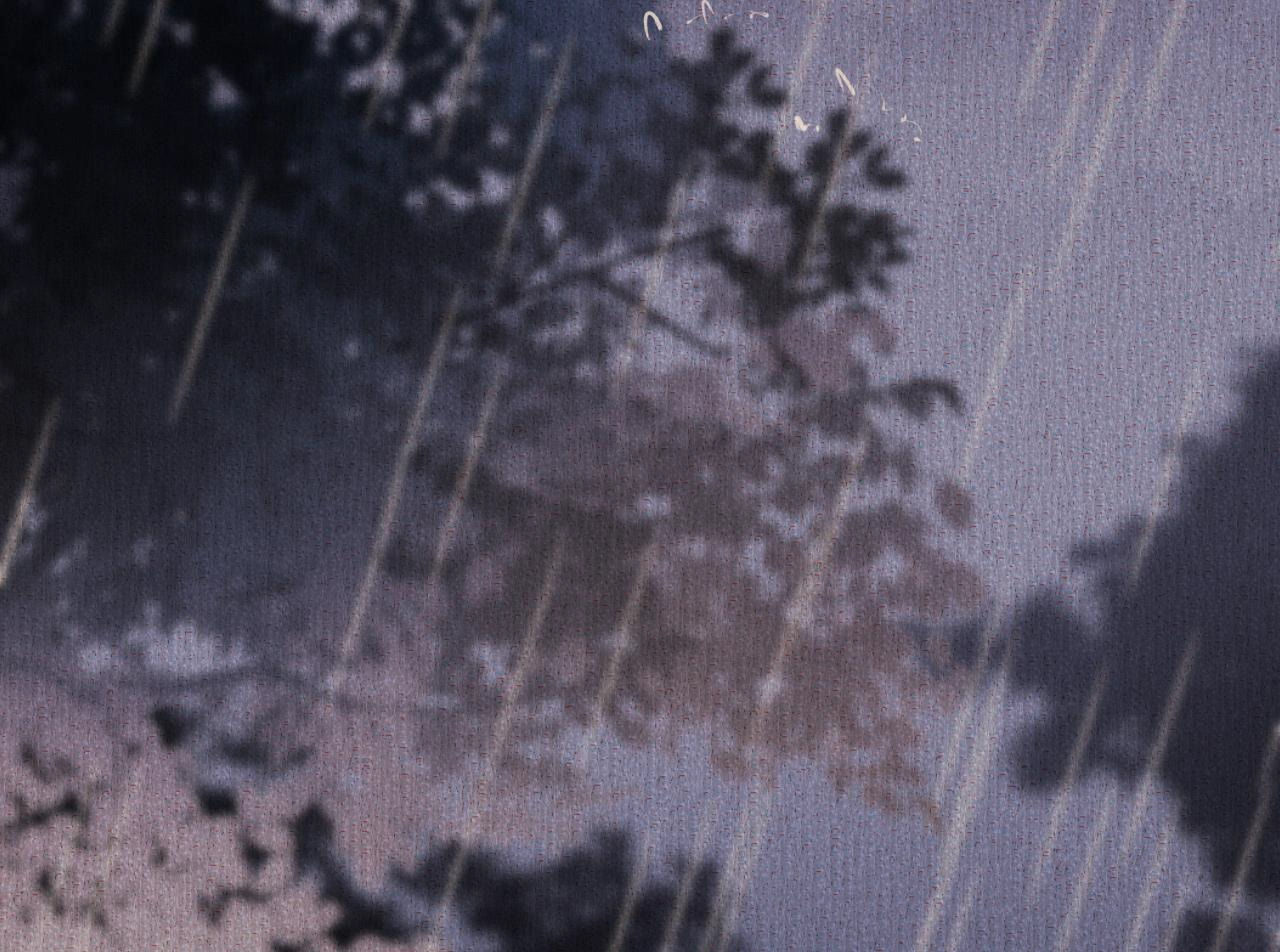 83