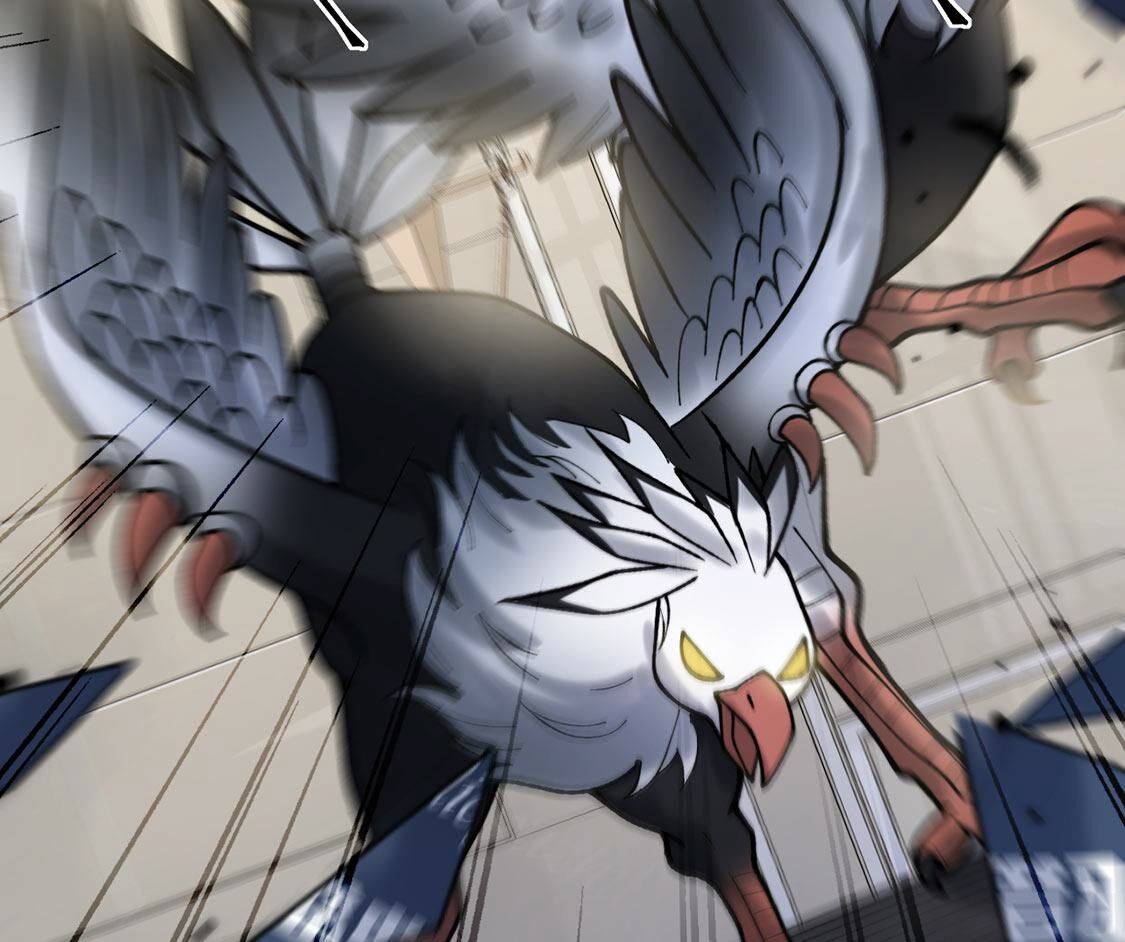 62
