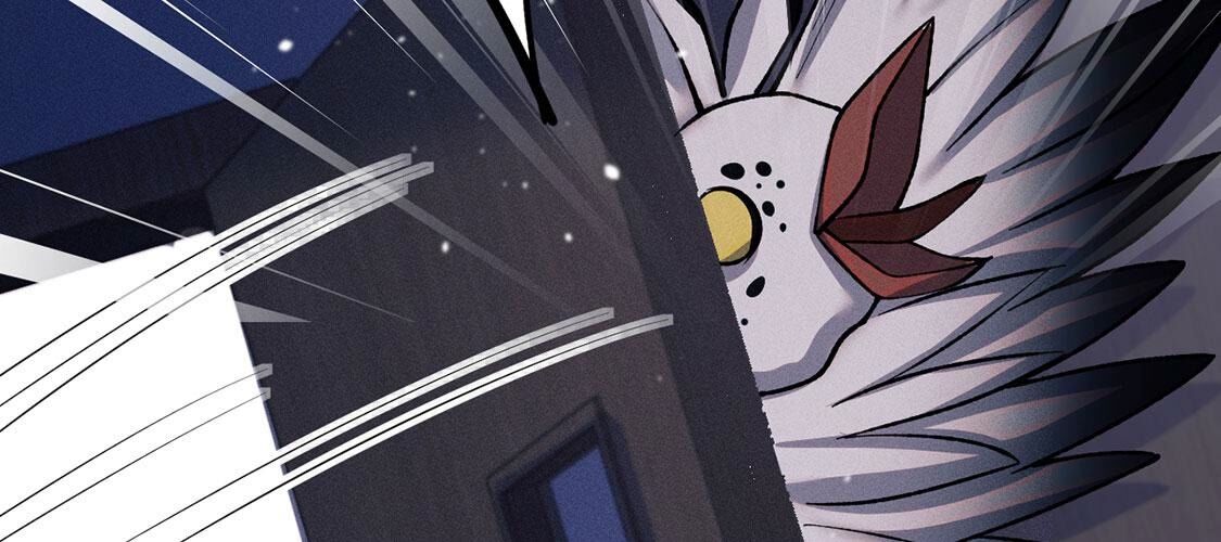 43