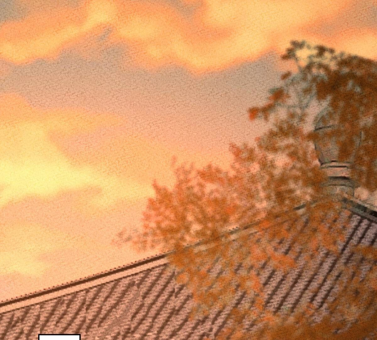 66