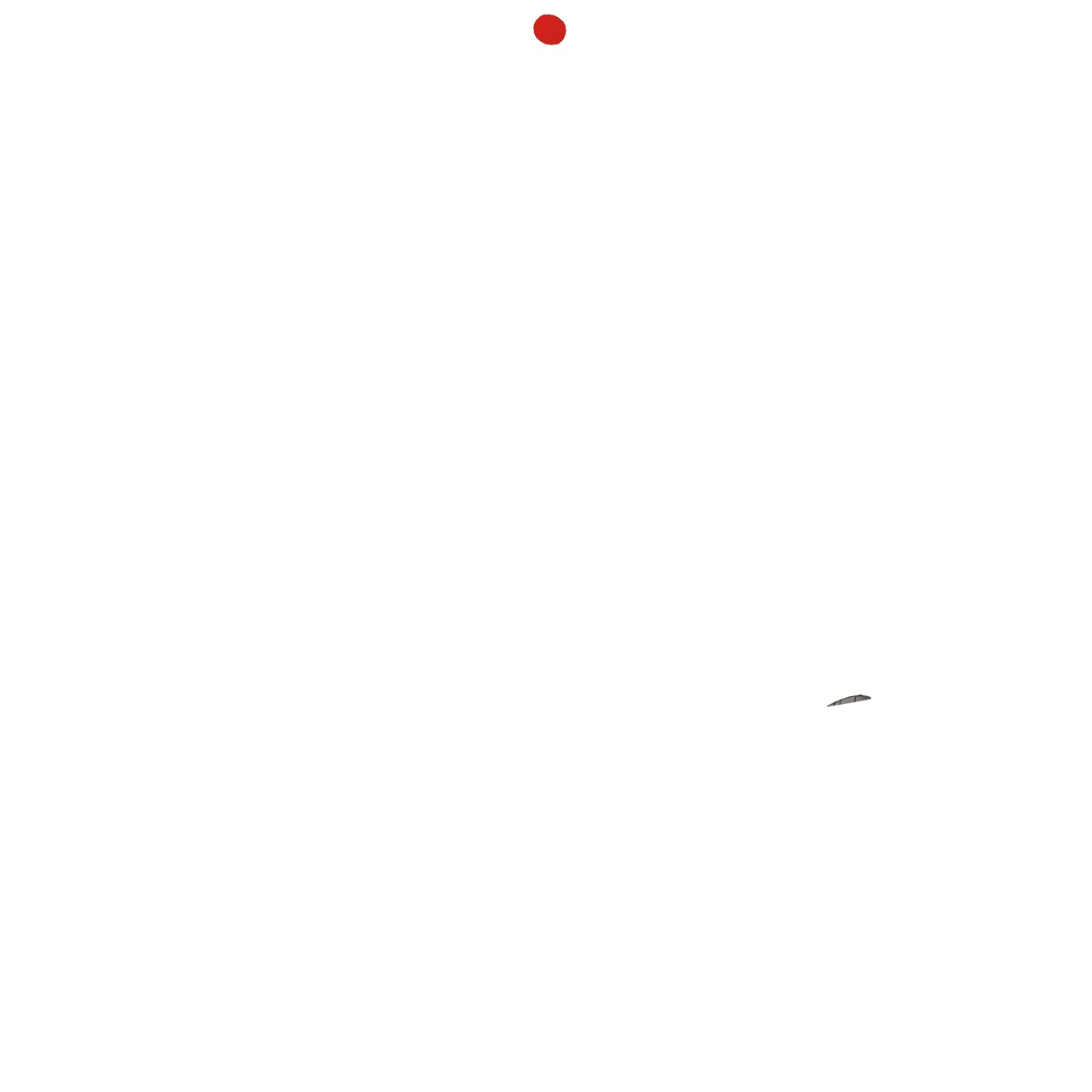79.jpg