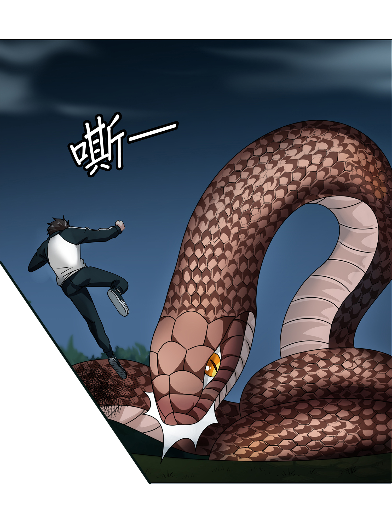 24