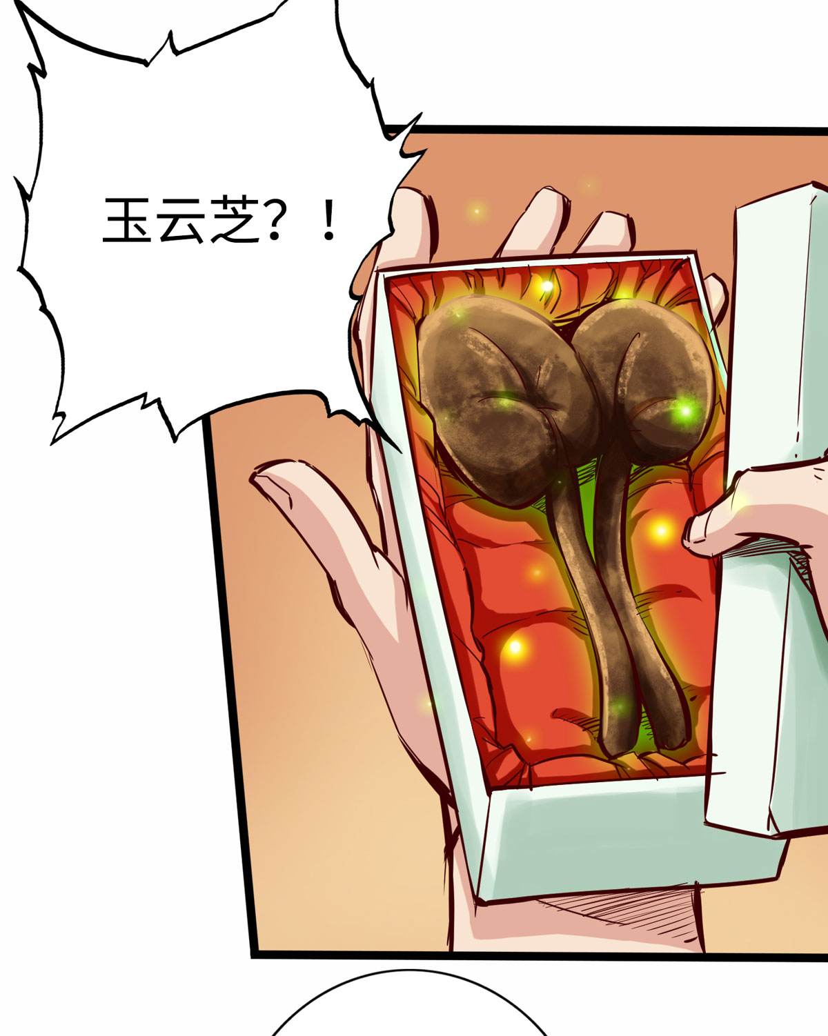 16.jpg