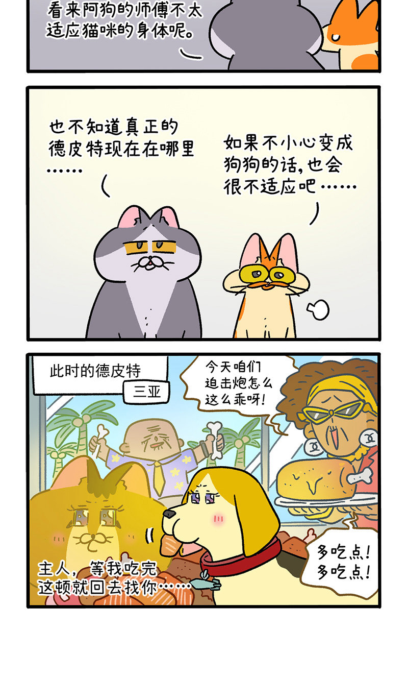 4.jpg