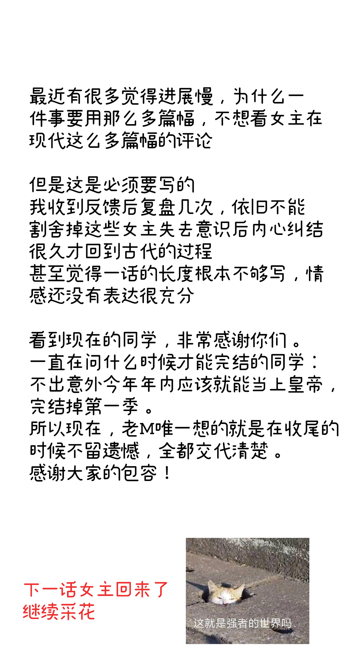 43.jpg