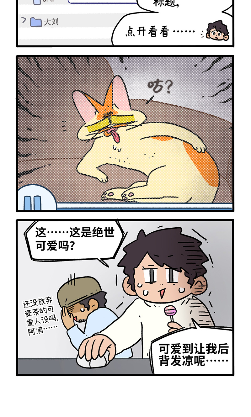 4.jpg
