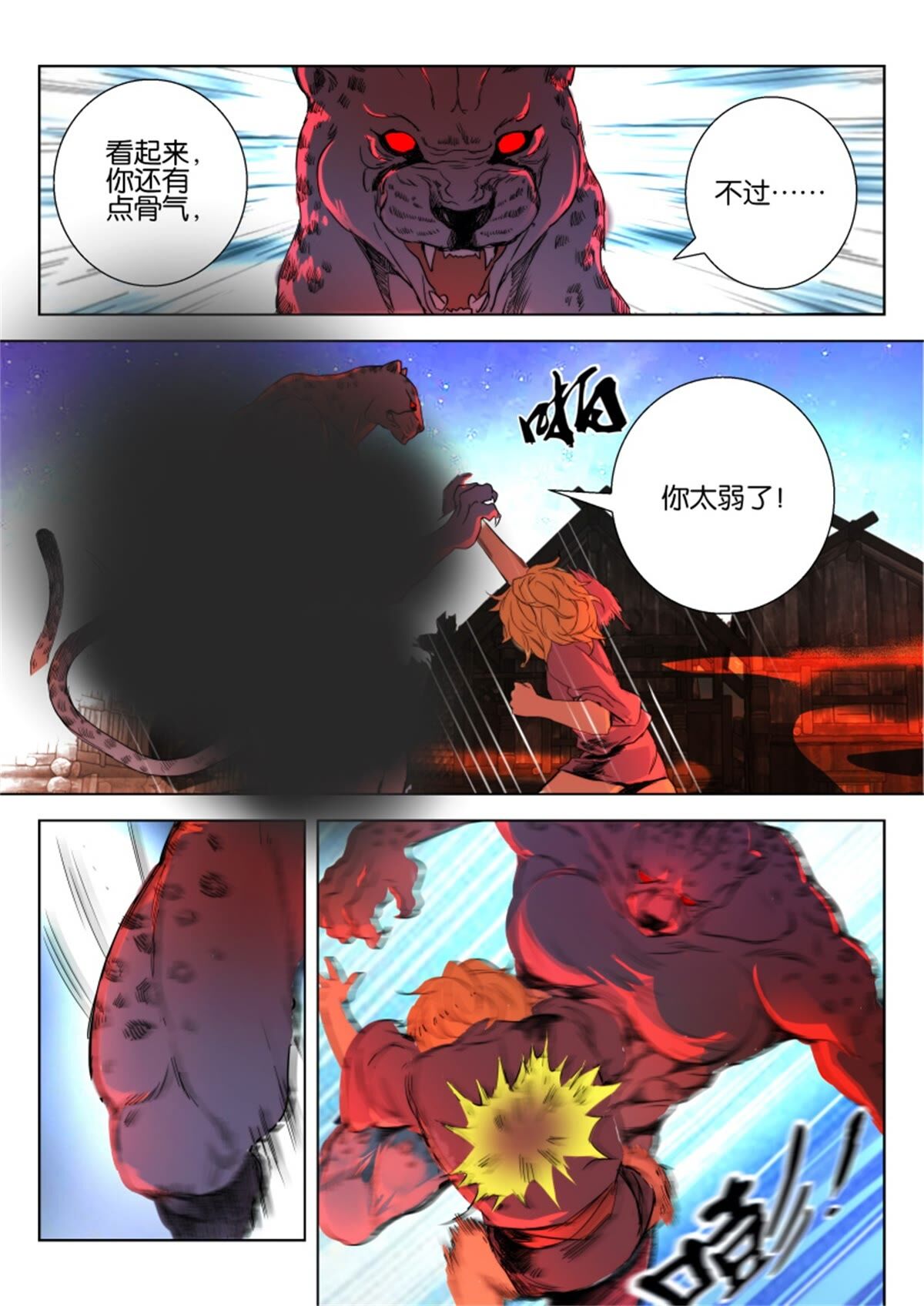5.jpg