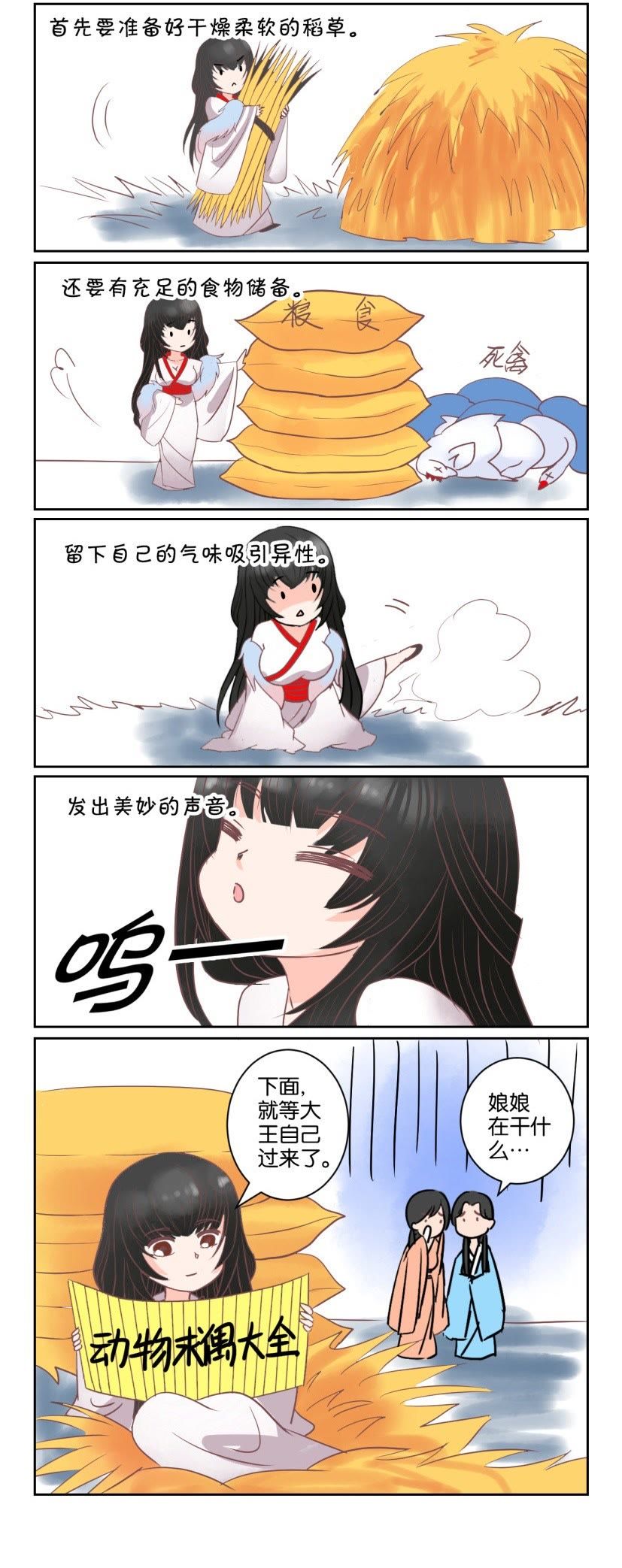 5.jpg
