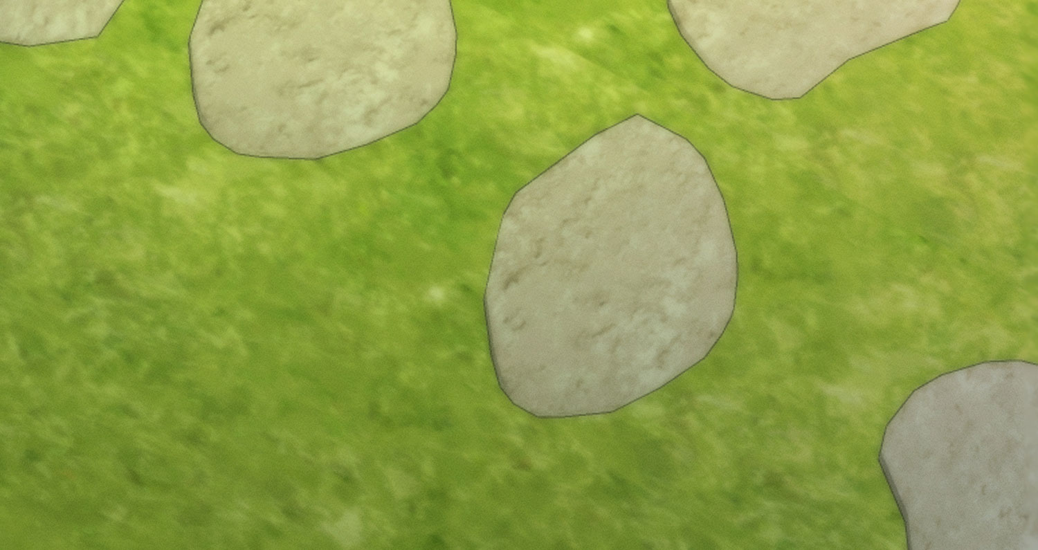 48