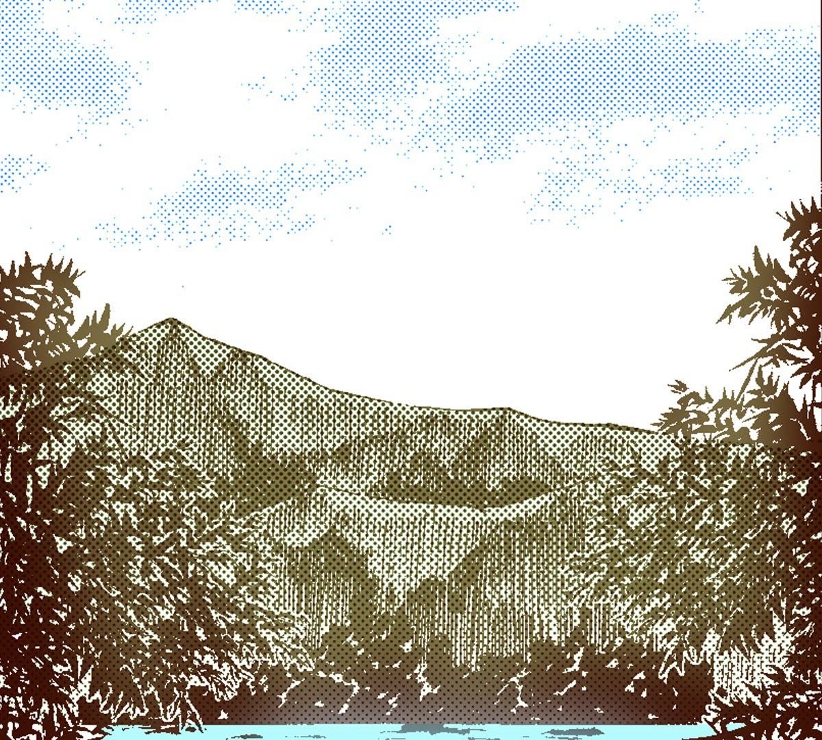 44