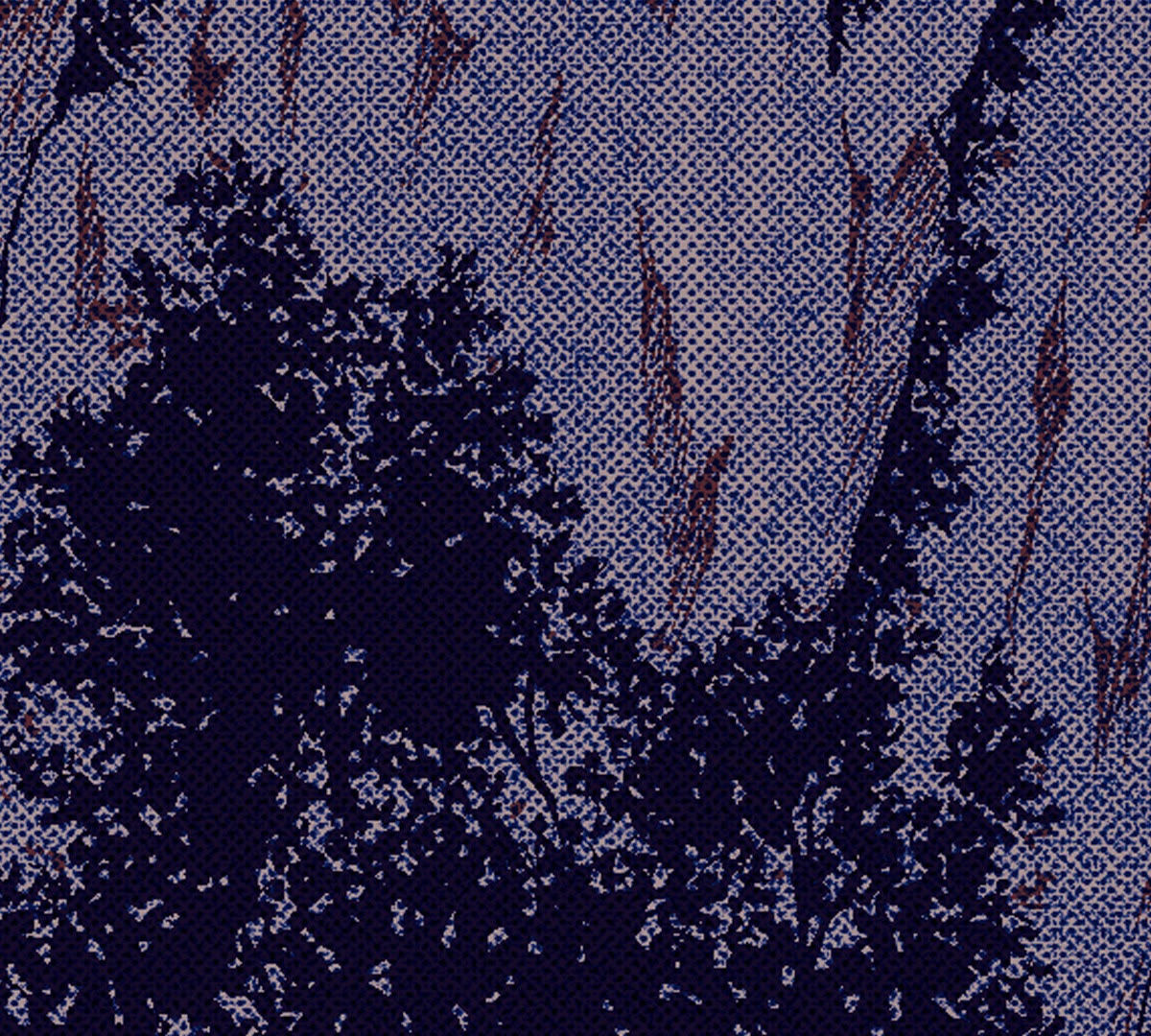 61