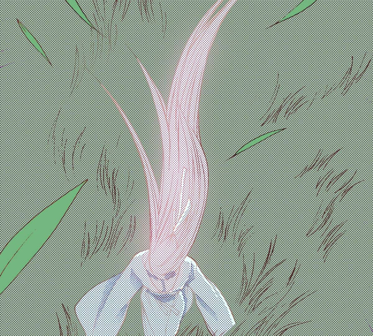 25