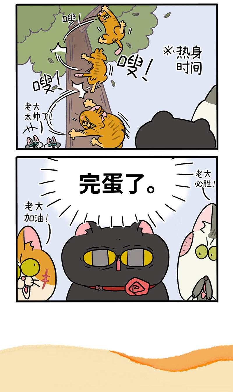 5.jpg