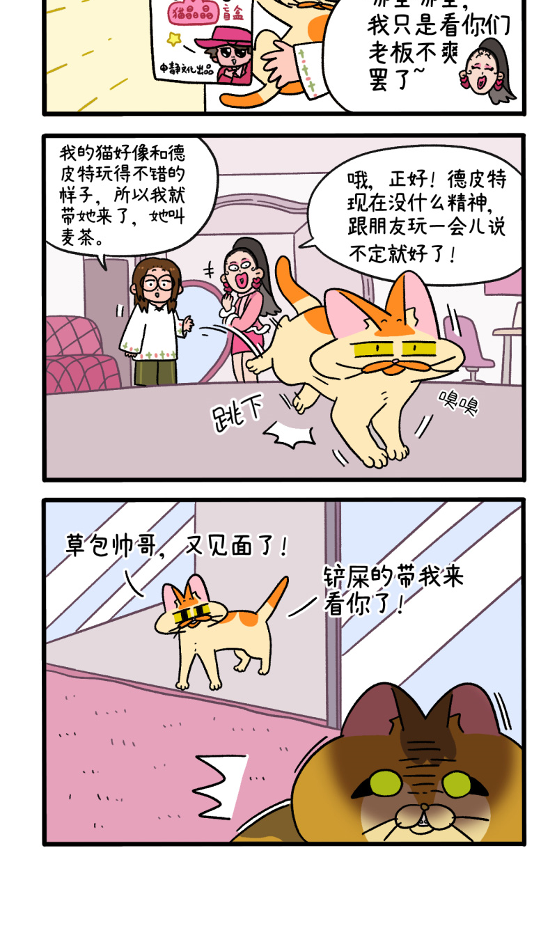 4.jpg