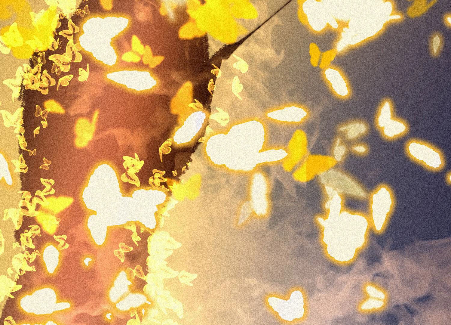 64