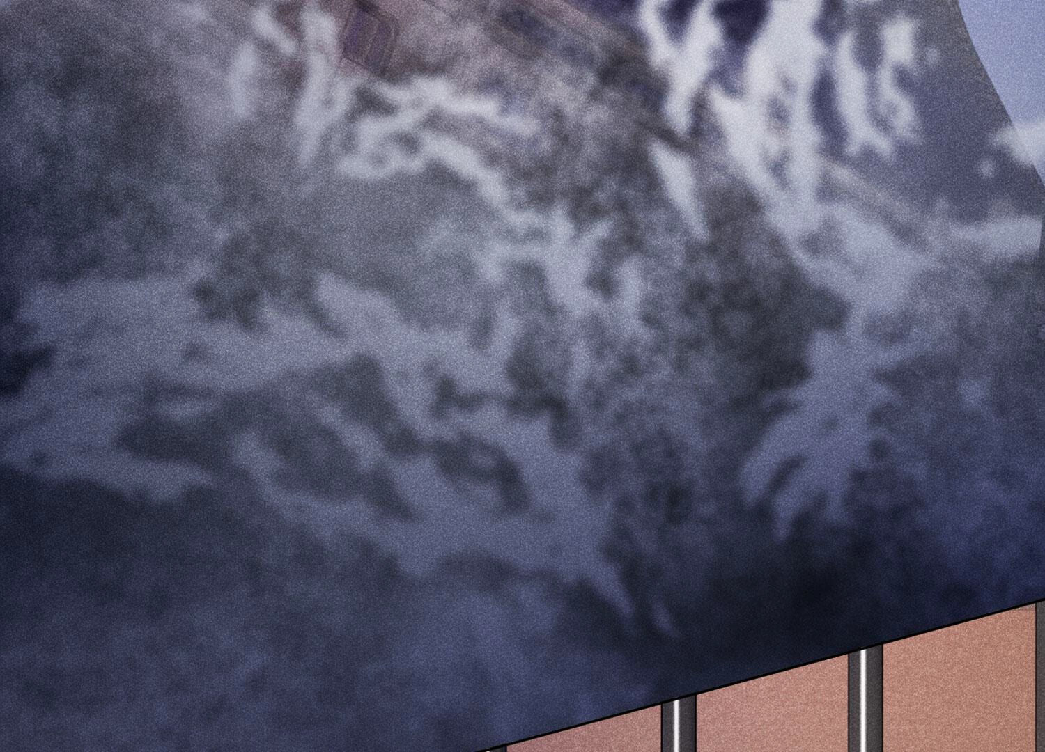 81