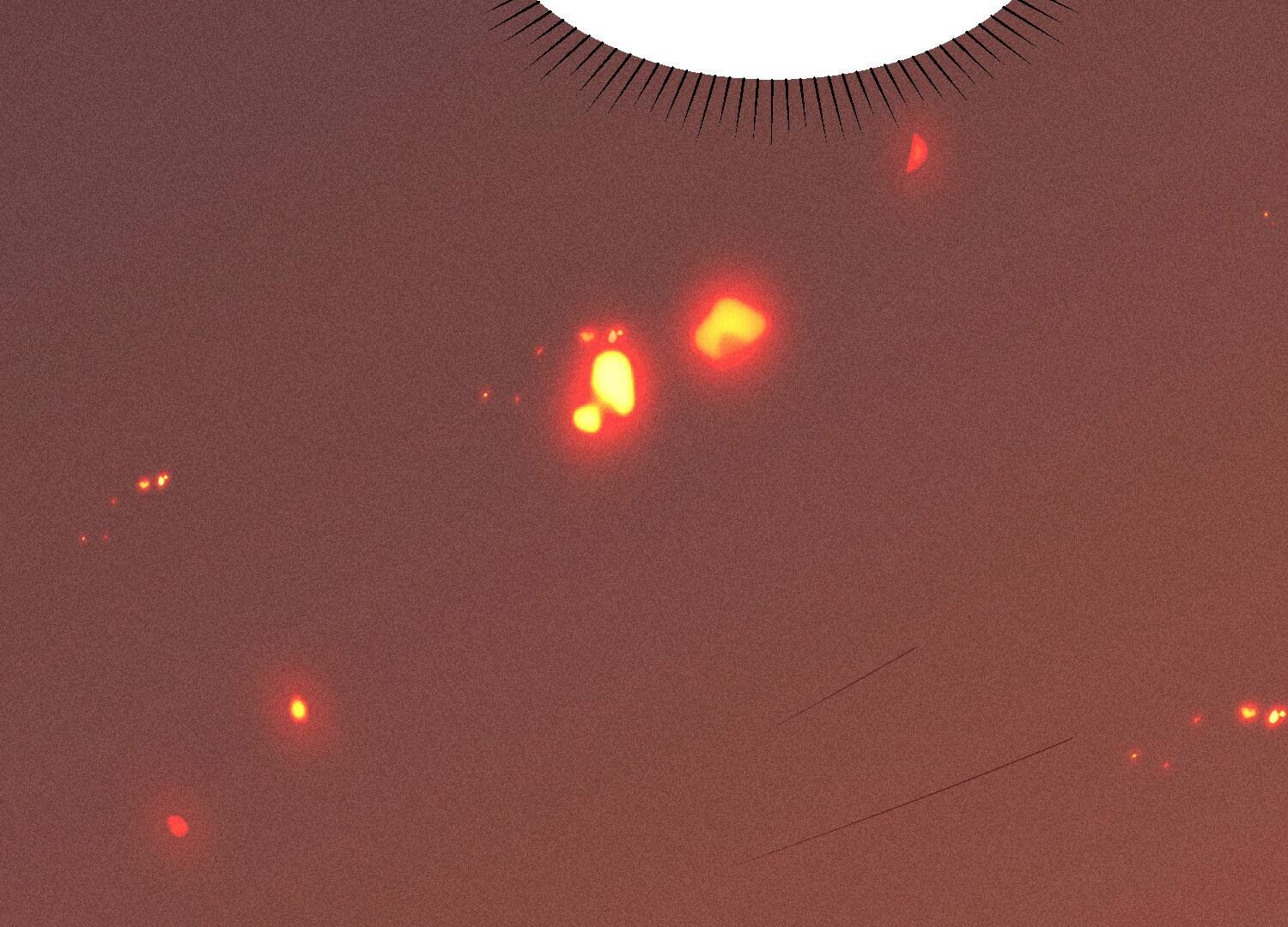 51