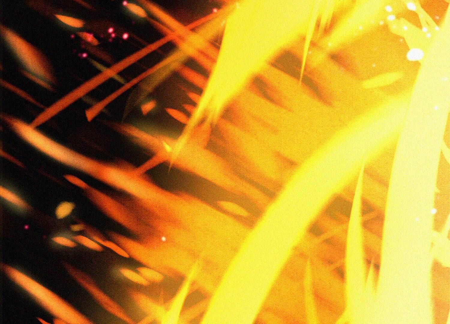 46