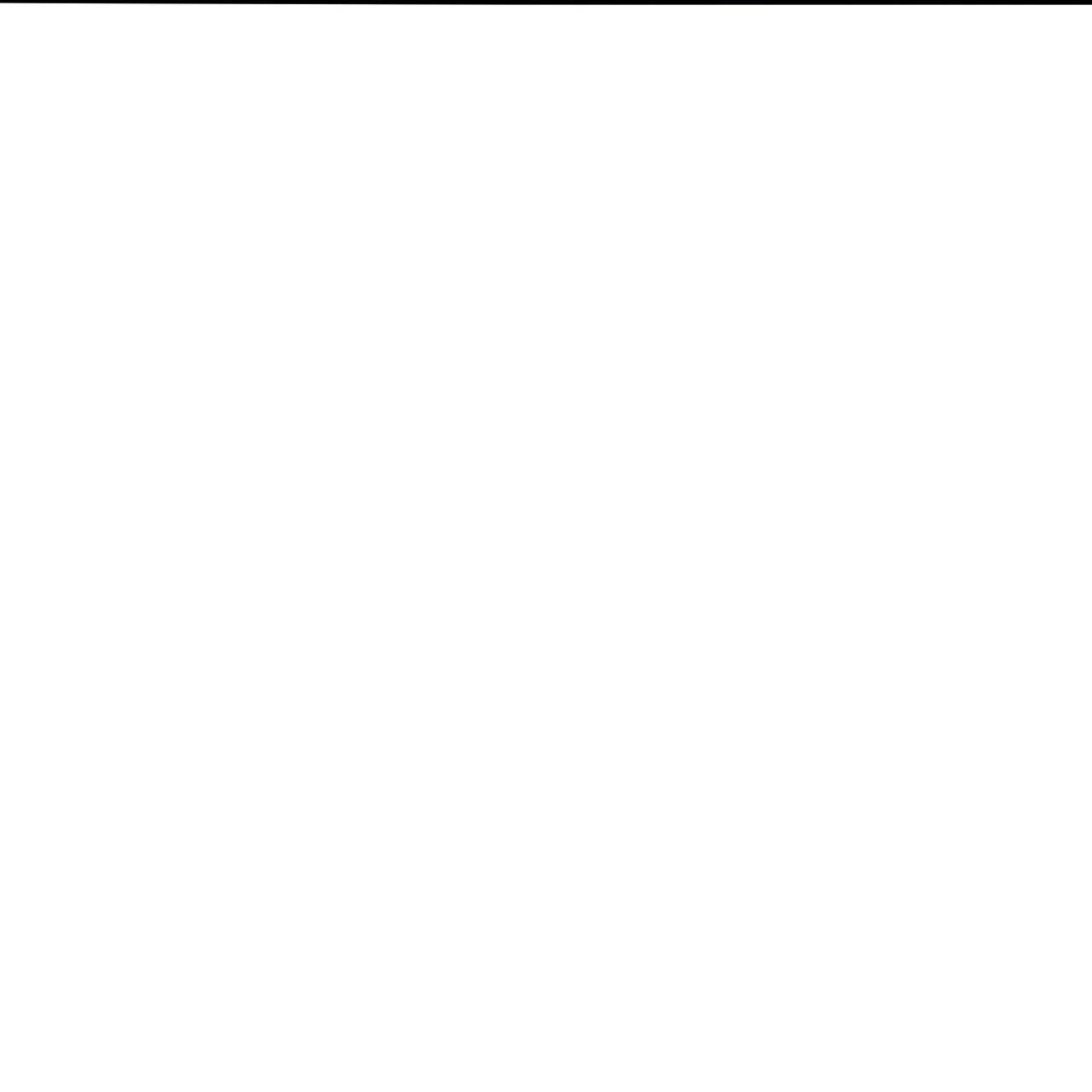 63.jpg
