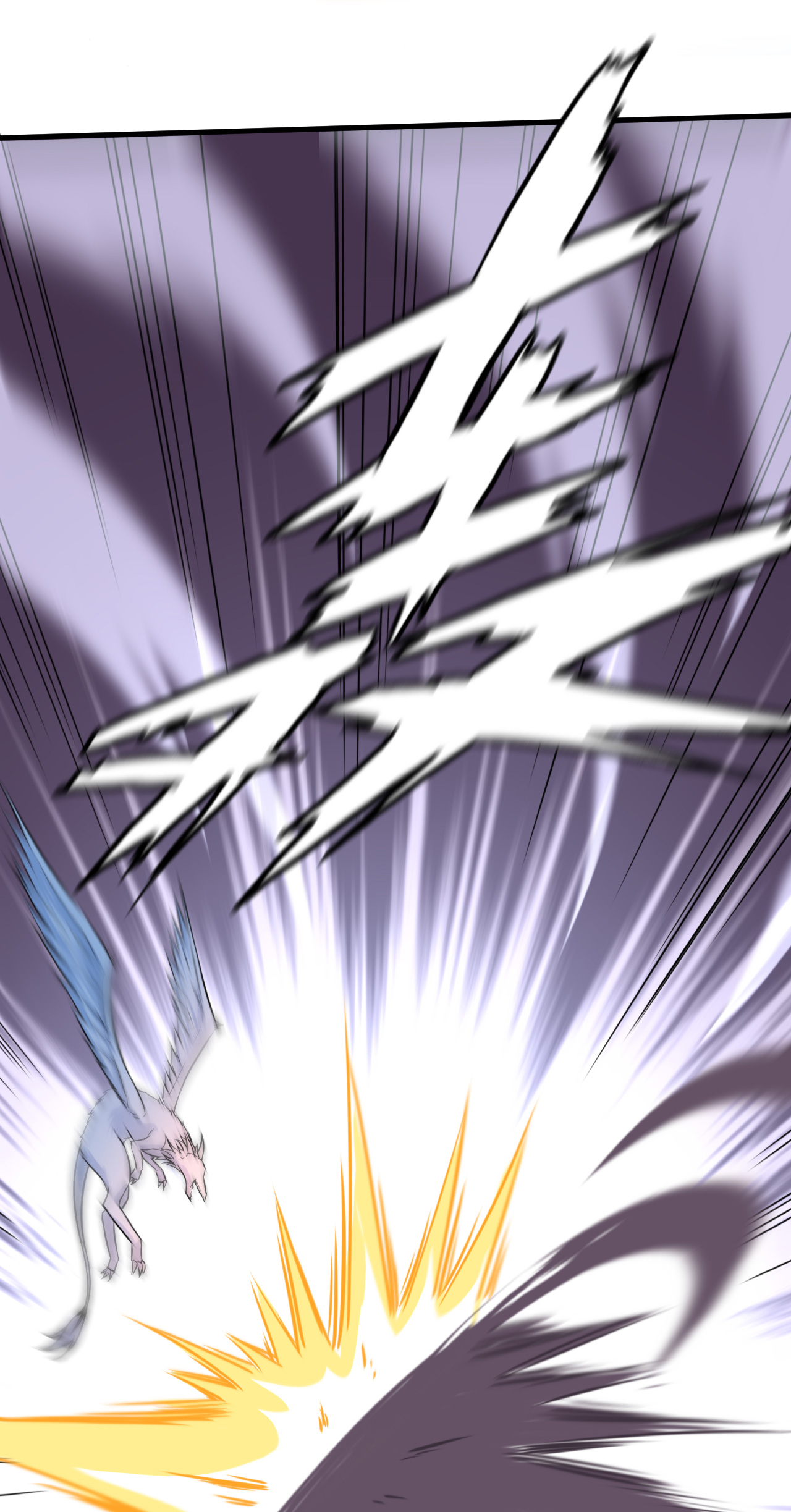 43