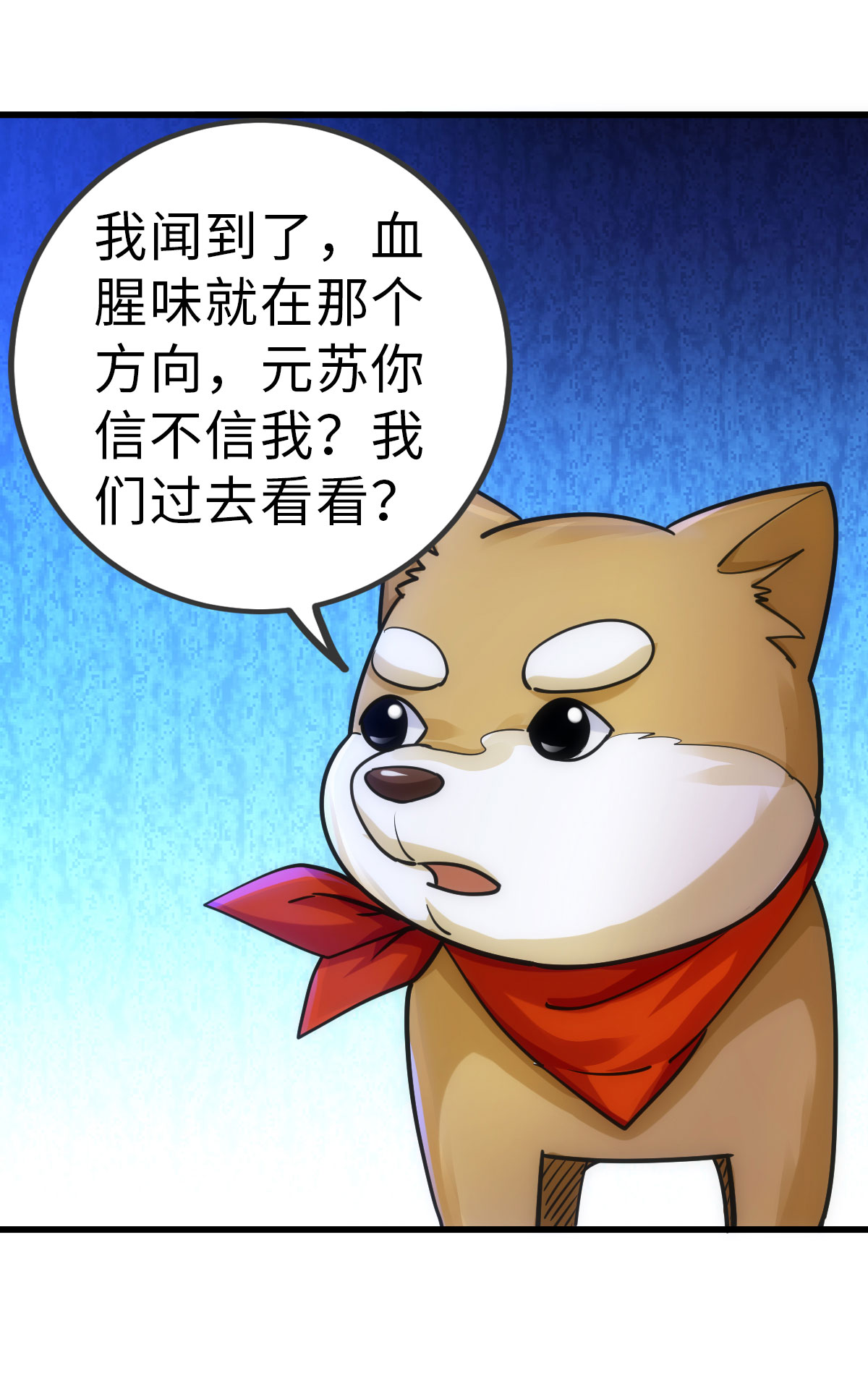 11.jpg