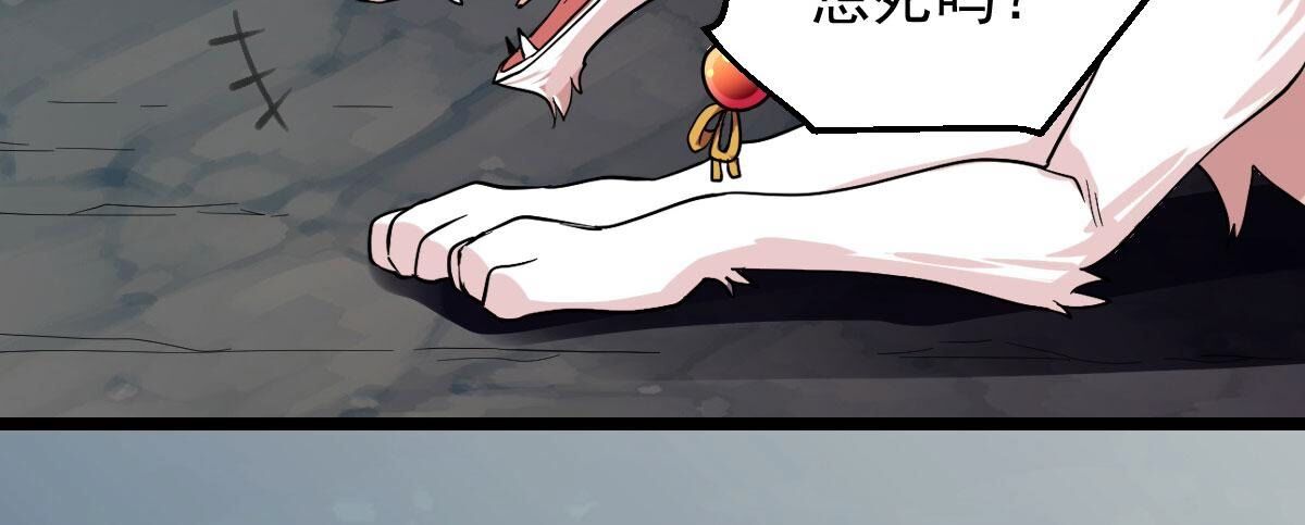 81