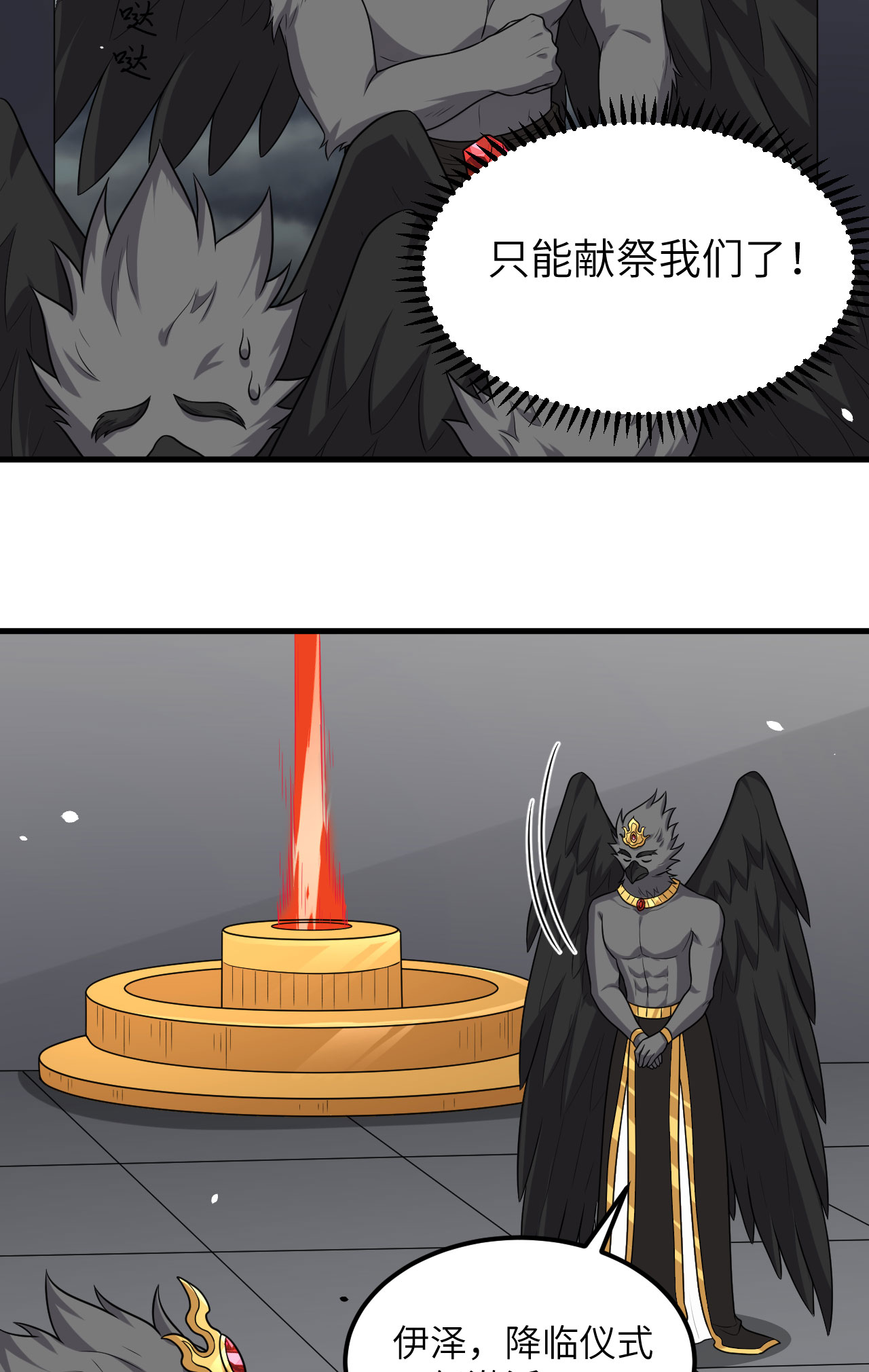 5.jpg