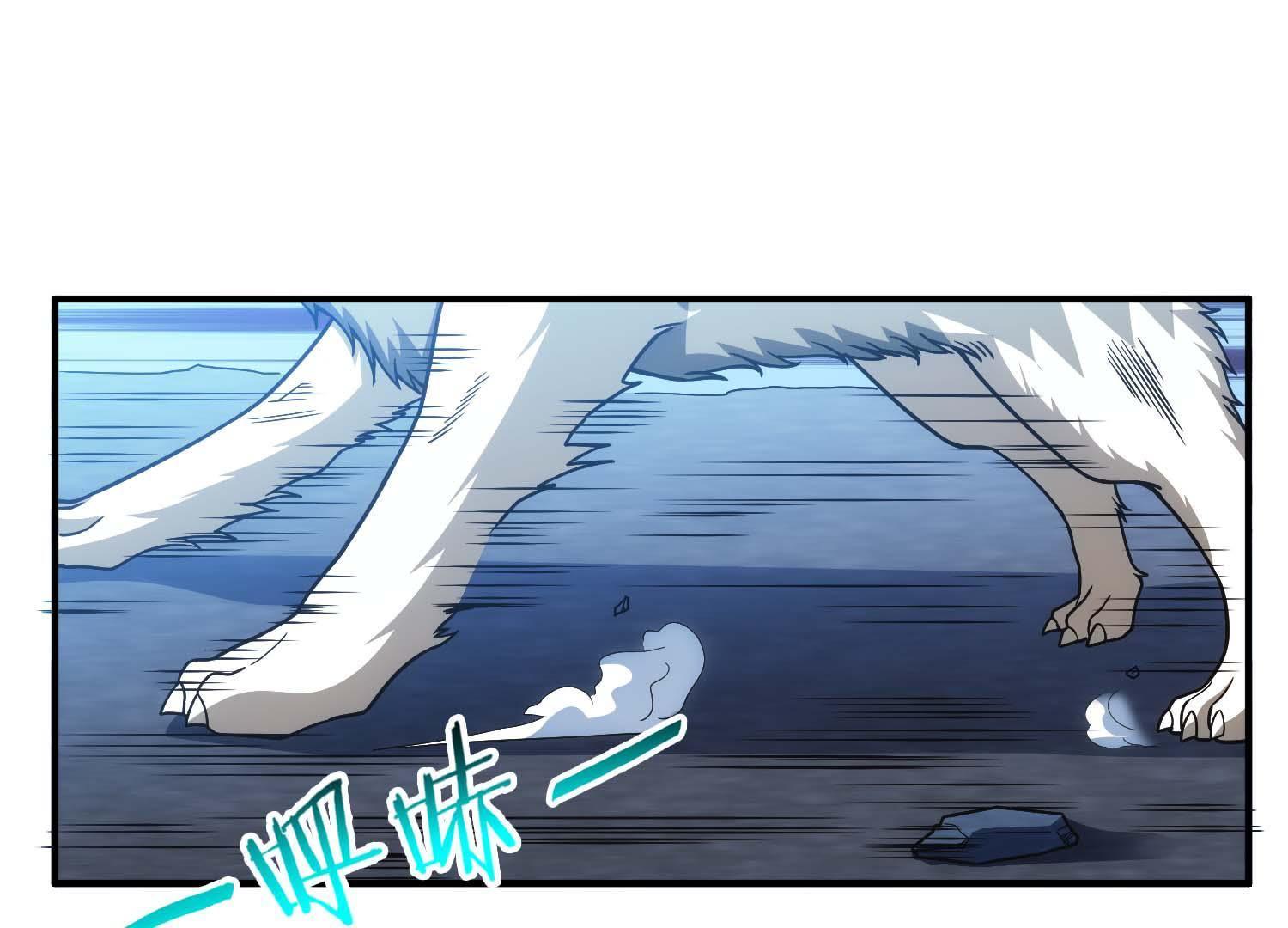 41