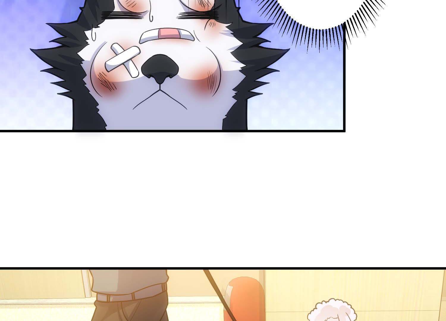 41