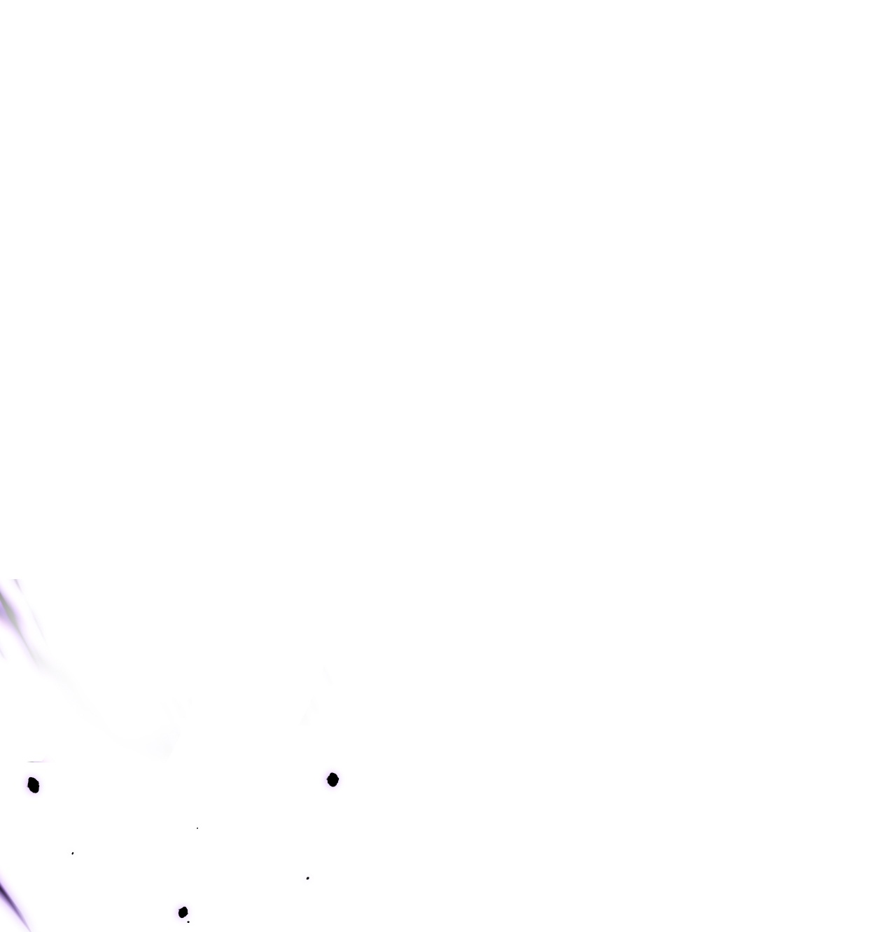59.jpg