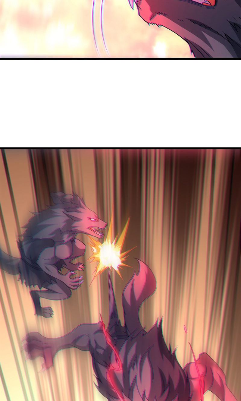 42