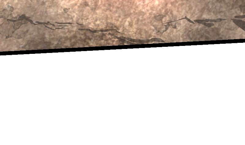81