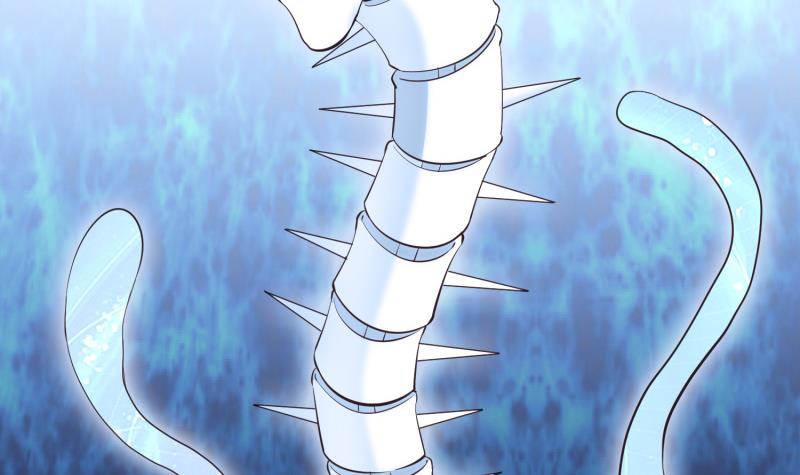 33