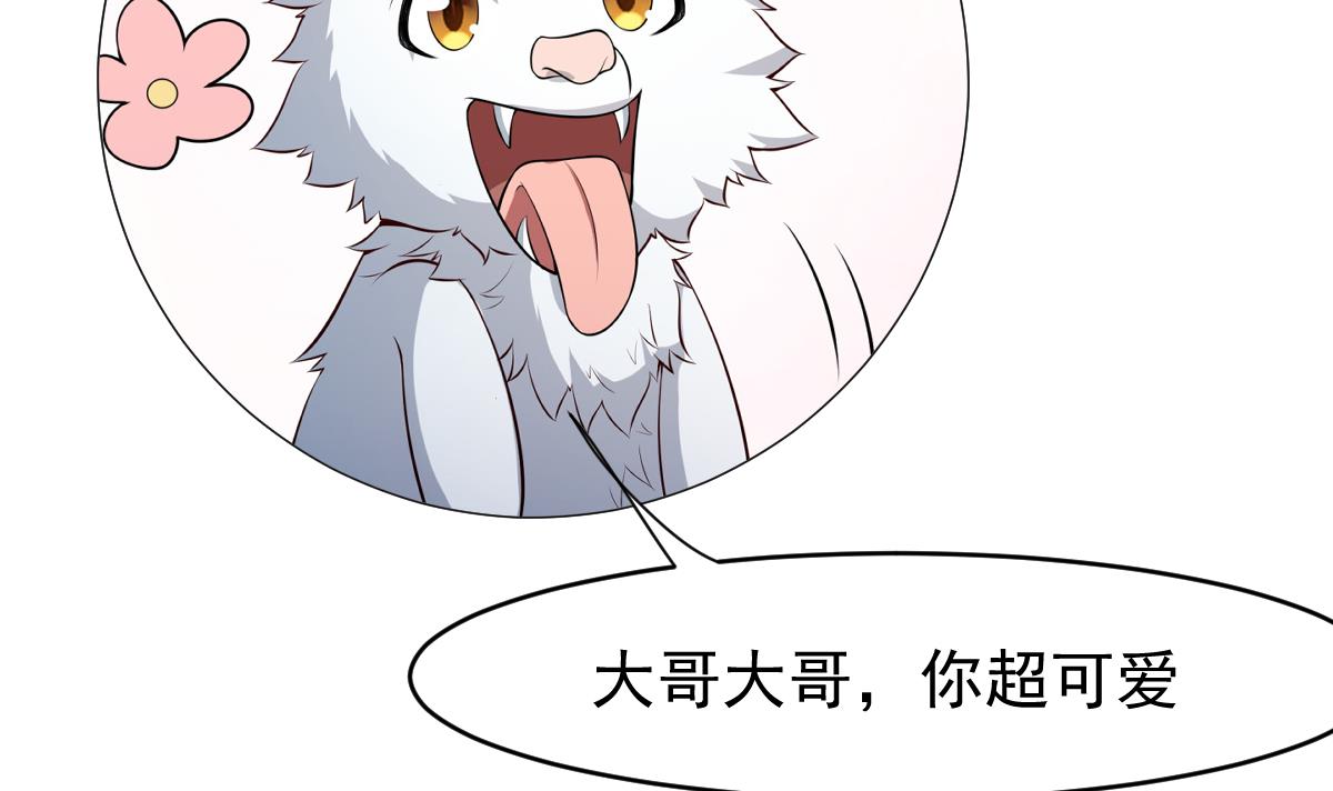 66