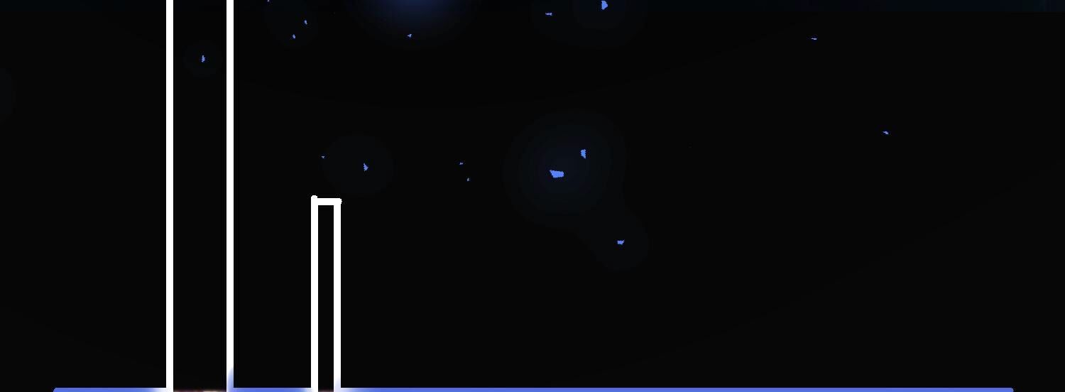 81
