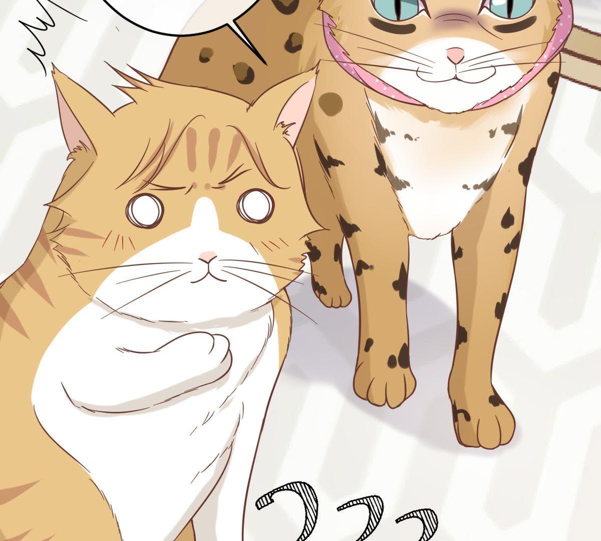 70